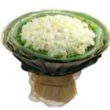 ϰʻٵ